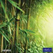 Фреска Applico 340004