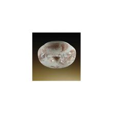 Светильник настенно-потолочный Odeon Light 2117 2C Mone