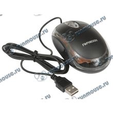 Оптическая мышь Гарнизон "GM-100", 2кн.+скр., черный (USB) (ret) [140488]