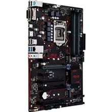 Мат. плата   ASUS PRIME B250-PLUS (RTL) LGA1151   B250   2xPCI-E Dsub+DVI+HDMIGbLAN SATA ATX 4DDR4