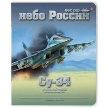 Альт Небо России в клетку 48 л 5 шт