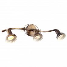 Arte Lamp Спот Arte Lamp Focus A5219PL-3BR ID - 416503