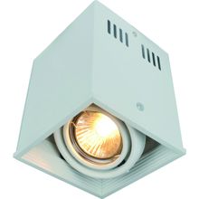 Потолочный светильник Arte Lamp A5942PL-1WH CARDANI