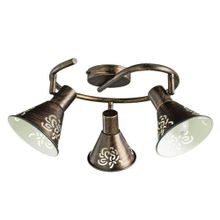 Arte Lamp Спот Arte Lamp Cono A5218PL-3BR ID - 225081