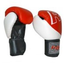 Боксерские перчатки ДЖЕБ-11,  Артикул: ЛБ5201