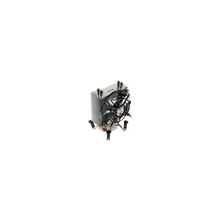 Titan SKALLI TTC-NC05TZ NPW(RB)