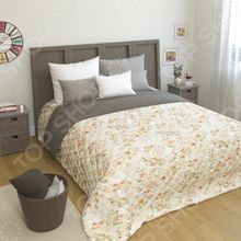 Сирень «Седель»