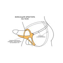 Телесный эректор-ложечка с фиксацией на ремешках MEN STYLE (244601)