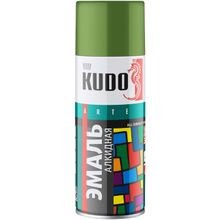 Kudo Arte Gloss Finish 3P Technology 520 мл фисташковая