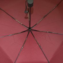 Ame Yoke Зонт  Ok-55P-1 брусника