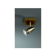 MASSIVE  Спот Massive 55210 74 10