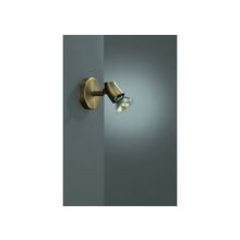 MASSIVE  Спот Massive 54490 06 10