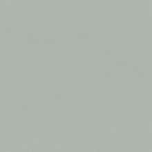 Обои виниловые Rasch Passepartout 607260