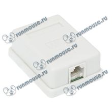 Розетка RJ-45 (UTP) 5e кат. [19016]