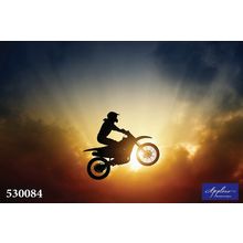 Фреска Applico 530084