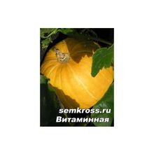 Тыква Витаминная