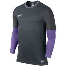 Свитер Вратаря Nike Ls Club Goalie Ii Jsy 520470-010 Sr