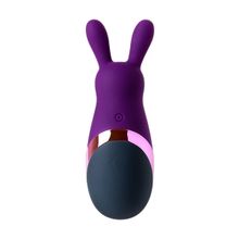  Фиолетовый стимулятор эрогенных зон Eromantica BUNNY - 21,5 см.