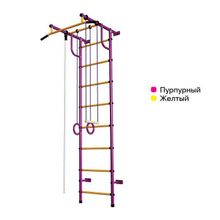 ДСК"Пионер - С2Н" пурпурно жёлтый