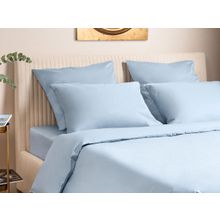 ПМ: Ecotex Простыня Моноспейс голубая