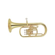 АЛЬТ (духовой) BOSTON AH-300 зол,помповый (кейс)