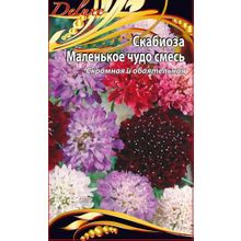 Скабиоза Маленькое чудо смесь 0,5 г