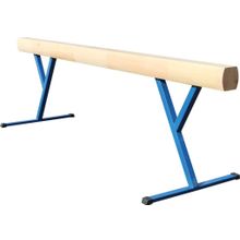 Бревно гимнастическое ZSO