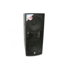 ES-ACOUSTIC 218S P8