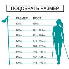 Россия Палки для скандинавской ходьбы EXTREME 125 под рост 181-186 см