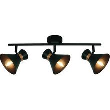 Arte Lamp A1406PL-3BK BALTIMORE спот (поворотный светильник)