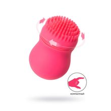 Розовый стимулятор клитора PPP CURU-CURU BRUSH ROTER (розовый)