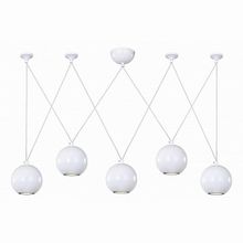 Favourite Giallo 1599-5P