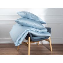 ПМ: Ecotex Набор наволочек Моноспейс - 2 шт. голубой