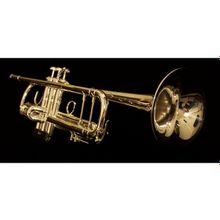 Труба Bb BACH 180 37 Stradivarius