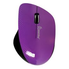 Мышь беспроводная SmartBuy 309AG Purple USB (SBM-309AG-P)