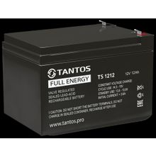 Tantos ✔ Аккумулятор АКБ 12В 12 А∙ч, TS 1212