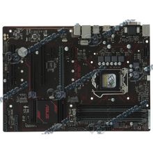 Мат. плата Socket1151 ASUS "PRIME B250-PLUS" (iB250, 4xDDR4, M.2, SATA III, 2xPCI-E, D-Sub, DVI, HDMI, 1Гбит LAN, USB3.0, ATX) (ret) [137343]