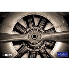 Фреска Applico 560049