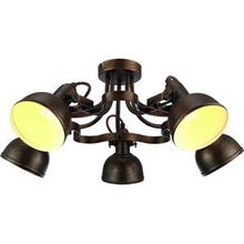 Arte Lamp A5216PL-5BR MARTIN спот (поворотный светильник)