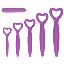 Набор фиолетовых вагинальных расширителей с вибропулей Silicone Vaginal Dilator Set (245089)