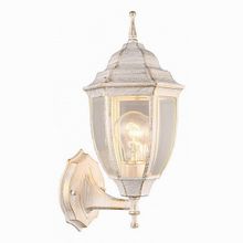 Arte Lamp Pegasus A3151AL-1WG