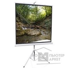 Screen Media ScreenMedia Apollo SAM-4304 Экран на штативе 183x244 MW