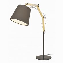 Arte Lamp Pinocchio A5700LT-1BK