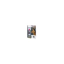 Epson Epson C13T13034010