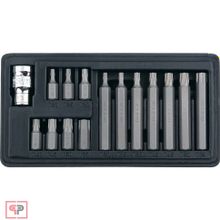 Stels Набор бит TORX, хвостовик-шестигранник, 10 мм, CrV, 15 предметов Stels