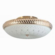 TopLight Loreen TL1492Y-05GC