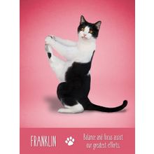 Карты Таро: "Yoga Cats Deck  Book Set" (YC44)