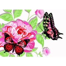 Раскраска по номерам РУССКАЯ ЖИВОПИСЬ Бабочки в пионах