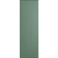 Tonalite Coloranda Verde Laguna 10x30 см