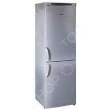 NORD DRF 119 NF ISP